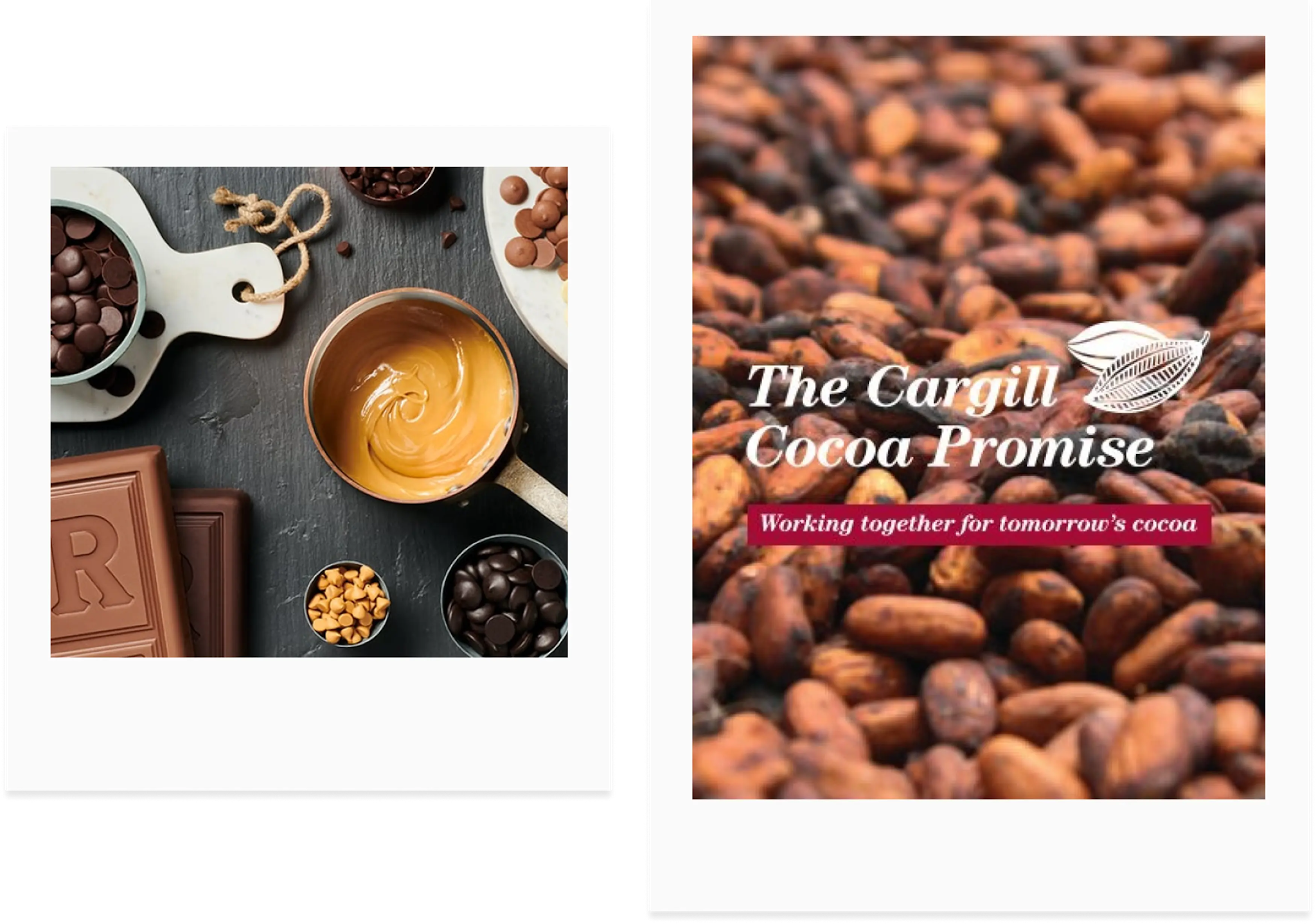 Cargill Cacao